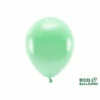Ballonnen Metallic Mint Premium Organic (100st) -FEESTBAZAAR Winkel ballonnen metallic mint premium organic 100st