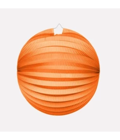 Bollampion Oranje (25cm)