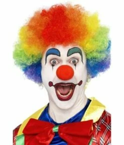 Crazy Clown Pruik