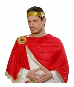 Laurierblad Hoofdband Goud -FEESTBAZAAR Winkel laurierblad hoofdband goud 1