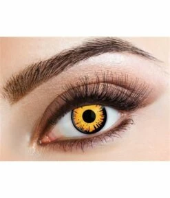 Partylenzen Oranje/Zwart Bella 1 Week