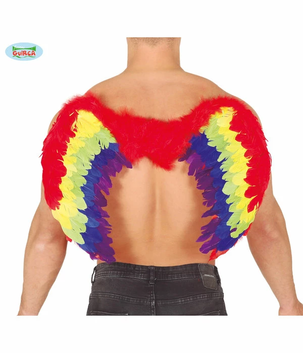 Regenboog Vleugel 80x50cm 3 Regenboog Vleugel 80x50cm