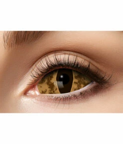 Sclera Krokodil Lenzen