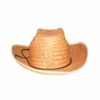 Strohoed Volwassenen -FEESTBAZAAR Winkel strohoed volwassenen