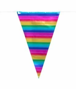 Vlaggenlijn Regenboog Metallic (10m)